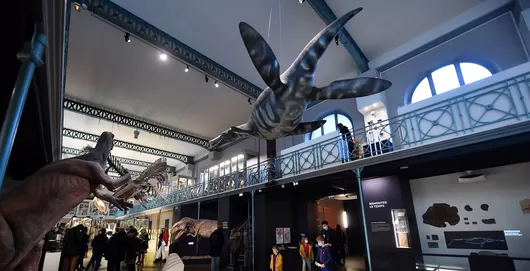 Le Musée d'Histoire Naturelle fait la fête avant sa fermeture début avril