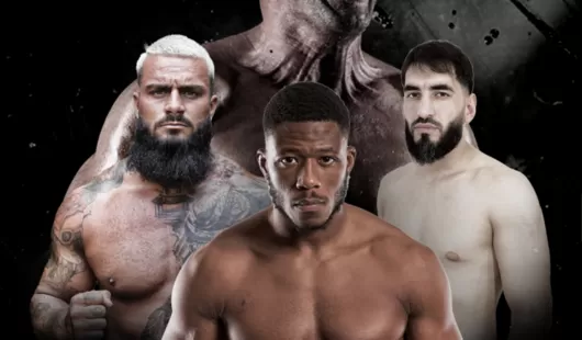 Le 3 mai, c'est tournoi de MMA au Zénith de Lille