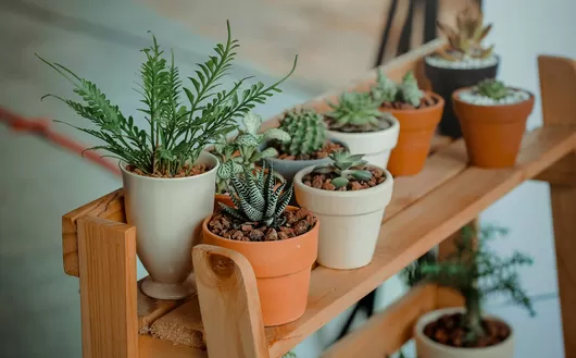 Le marché du printemps de Roubaix fera son retour le dimanche 5 mai