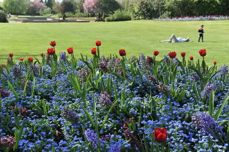 Les parcs et jardins à découvrir à Lille pour profiter des beaux jours