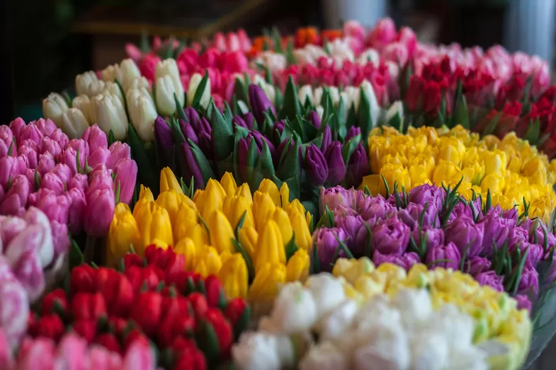 Le Marché de Printemps investira la Grand Place de Roubaix ce dimanche