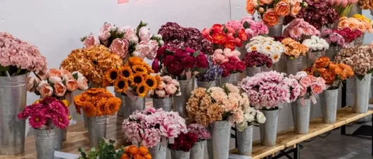 De mercredi à dimanche, Grand Playground accueille une vente XXL de fleurs séchées
