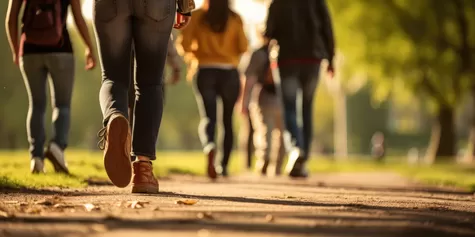 Jusqu'au 31 août, vous pouvez vous inscrire à une marche mystère à Lille