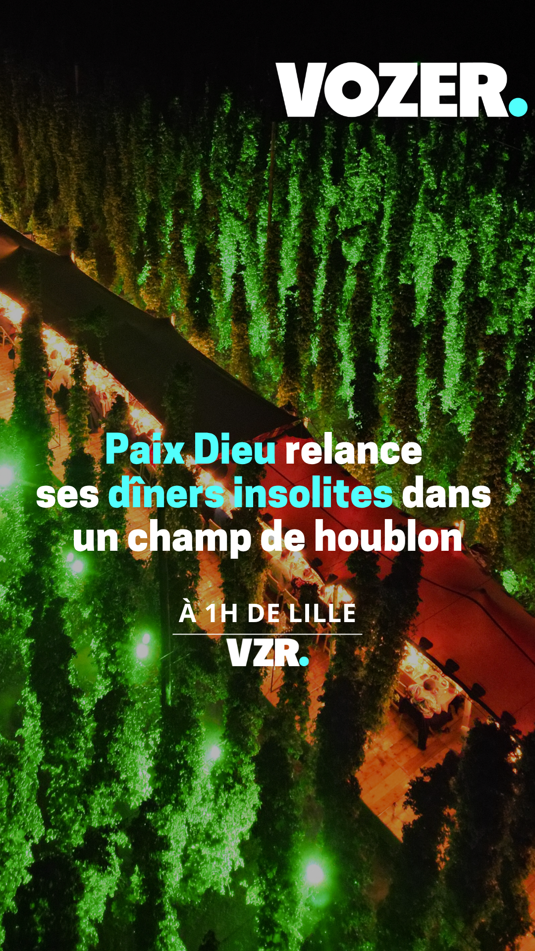 Paix Dieu relance ses dîners insolites dans un champ de houblon à 1h de Lille