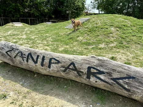 À la Citadelle de Lille, un caniparc a fait son apparition